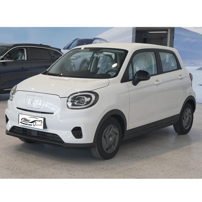 Mini-Leapmotor T03 Energiefahrzeuge Maximalleistung 40kW 54Ps Einzahlung Mini-Elektroauto